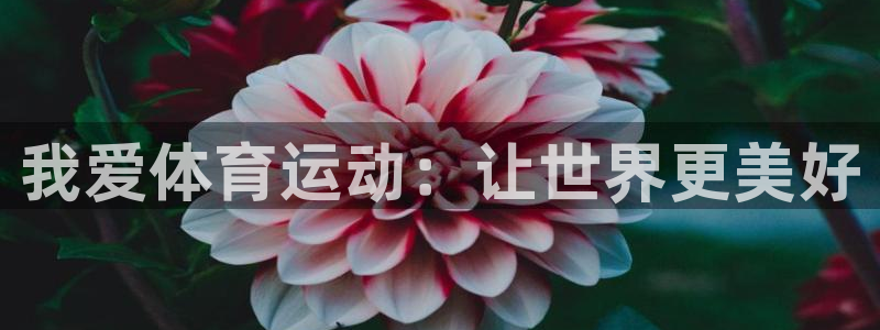 欧亿体育官方正版app科技:我爱体育运动:让世界更美好