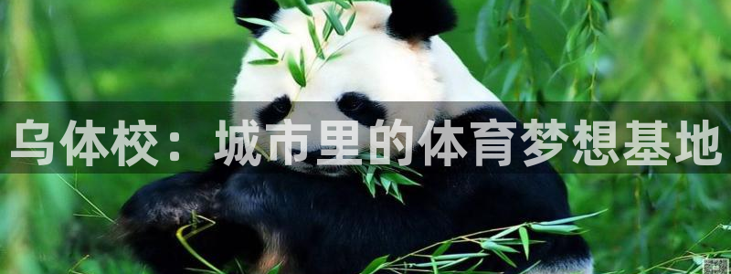 欧亿体育官方正版app官方:乌体校:城市里的体育梦想基地