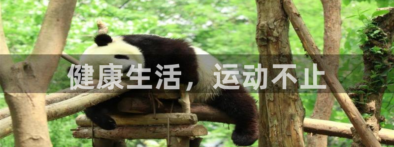 欧亿体育官方正版app娱乐是那个系列的台子:健康生活,运动不